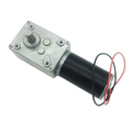 12V 5RPM Self-Locking DC Worm Gear Motor
