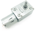 BRINGSMART Self-Locking DC Worm Gear Motor